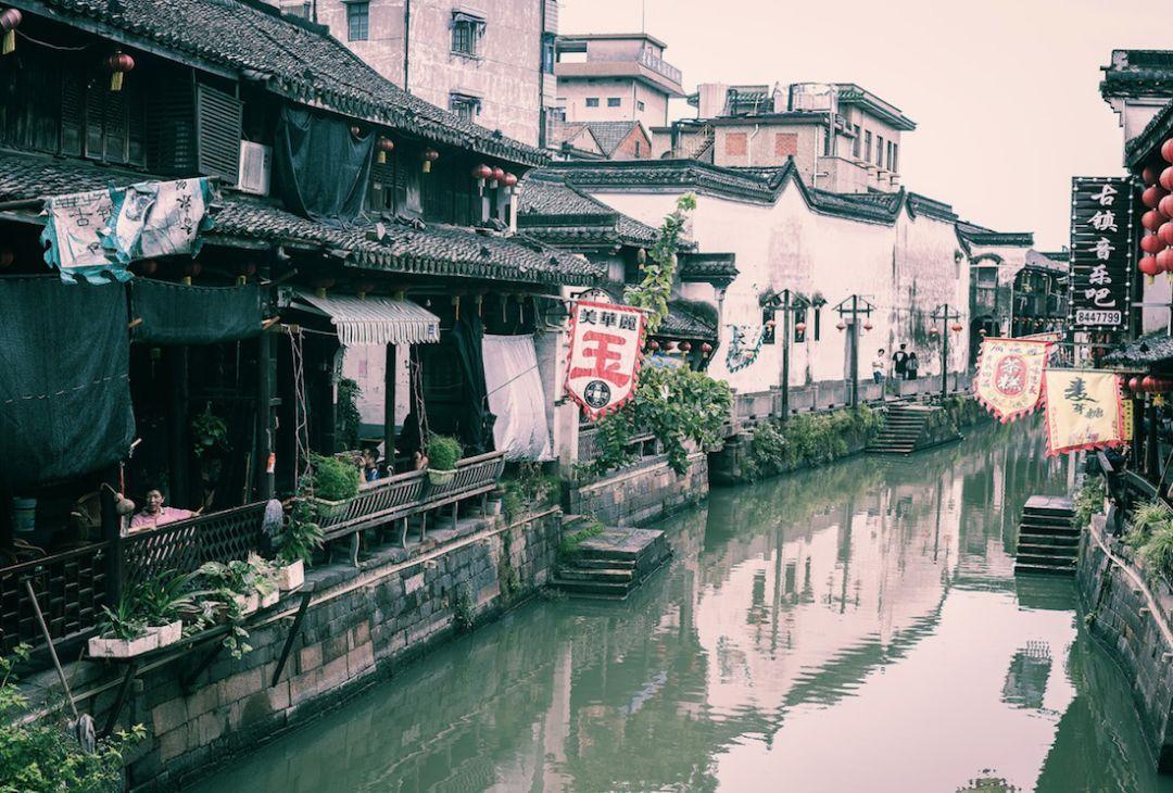 虫虫助手下载